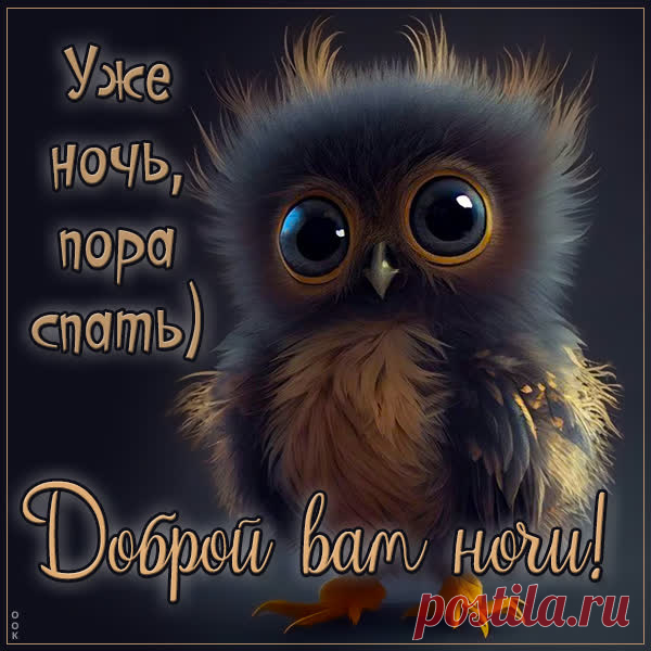 Доброй ночи, ярких снов!
Пусть средь звезд и облаков
Притаится дивный сон
И тебе приснится он.