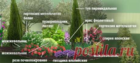 Клумбы непрерывного цветения – схемы с описанием цветов | Дизайн участка (Огород.ru)
