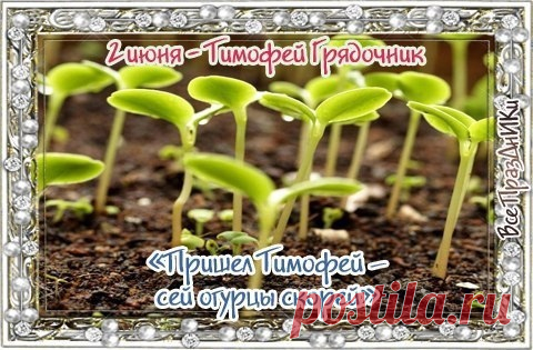 Пусть в доме будут мир, достаток,
Во всех делах — всегда порядок.
А жизнь пусть будет, словно сказка,
Наполнена любовью, лаской!