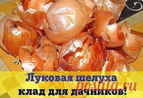 (2) Одноклассники