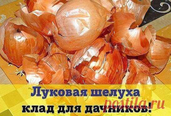 (2) Одноклассники