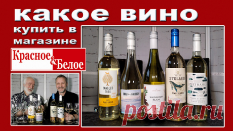 5 бутылок белого из "Красного&Белого" | 1-й Образовательный Алкогольный канал | Дзен