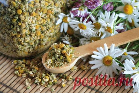 Чай ОТ аппетита. Минус 10 кг за месяц | Диеты со всего света