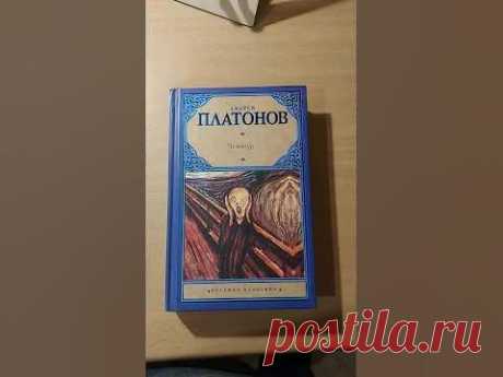 Андрей Платонов: Чевенгур #book #книги #история #революция #рассказ