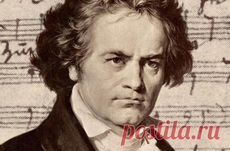 Так симфонию № 5 Бетховена вы еще не слышали. Эта филигранная работа действительно заслуживает восхищения!