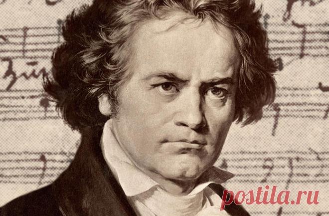 Так симфонию № 5 Бетховена вы еще не слышали. Эта филигранная работа действительно заслуживает восхищения!