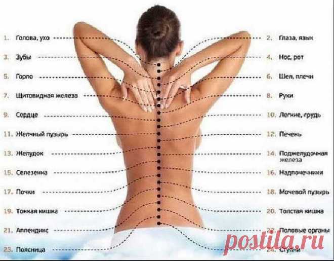 5 полезных упражнений для позвоночника