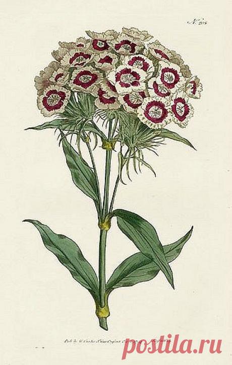 Найдено на сайте stilllifequickheart.tumblr.com.