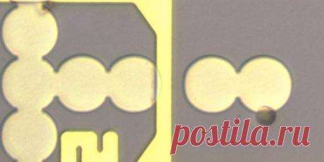 УЧЕНЫЕ СОЗДАЛИ ТРАНЗИСТОР ДЛЯ ЖИВЫХ КЛЕТОК / Физика невозможного!