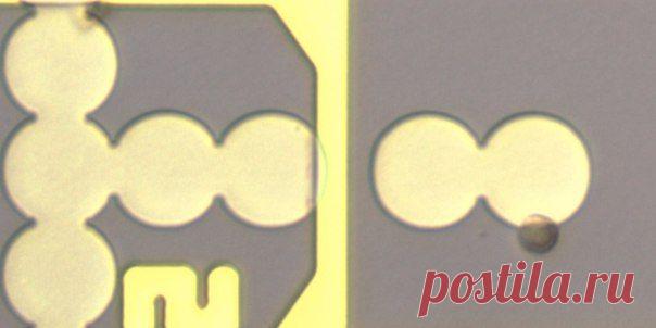 УЧЕНЫЕ СОЗДАЛИ ТРАНЗИСТОР ДЛЯ ЖИВЫХ КЛЕТОК / Физика невозможного!