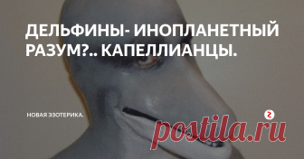 ДЕЛЬФИНЫ- ИНОПЛАНЕТНЫЙ РАЗУМ?.. КАПЕЛЛИАНЦЫ.  В планетарной системе Капеллы (Созвездие Возничего) обитают разумные Существа, которых называют 