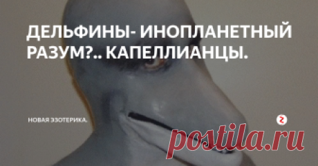 ДЕЛЬФИНЫ- ИНОПЛАНЕТНЫЙ РАЗУМ?.. КАПЕЛЛИАНЦЫ.  В планетарной системе Капеллы (Созвездие Возничего) обитают разумные Существа, которых называют "Народ Дельфинов", которые обитают в водной среде и разумные Существа - Ящеры. Эти типы разумных Существ также посещали Землю тысячи лет тому назад. Их эволюционный генотип очень далек от нашего и людям Земли они могли бы показаться очень необычными и страшными.
Большой дельфин, или афалина, считается с