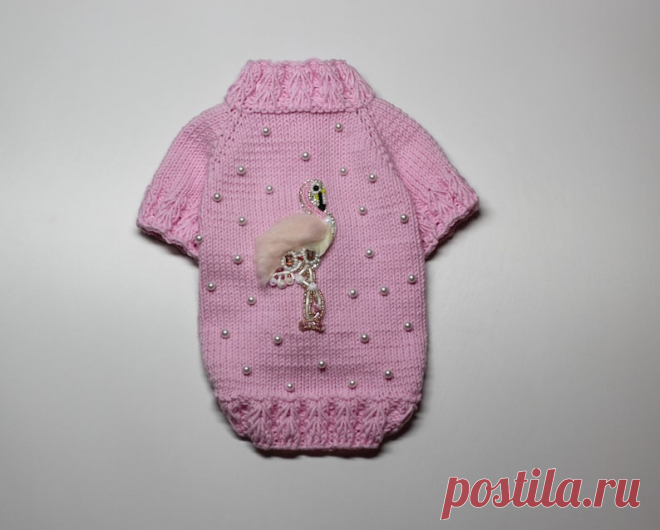 Sweater for dogs pink flamingo Dog dress Clothes for small | Etsy