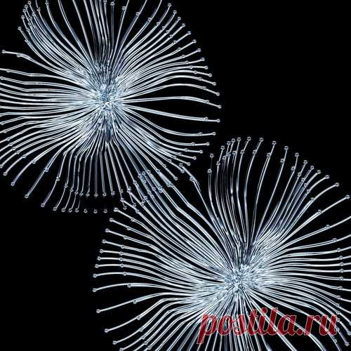 BOg - This Feeling [ATLANT ] free download mp3 music 320kbps