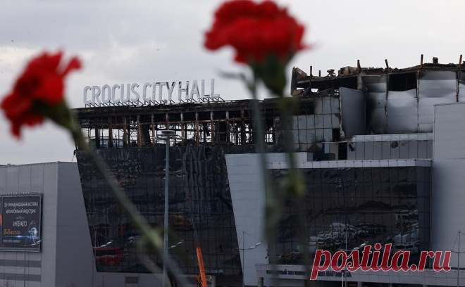 Более 20 человек задержали по делу о теракте в «Крокусе». По делу о теракте в подмосковном концертном зале «Крокус Сити Холл» задержаны более 20 человек, в том числе непосредственные исполнители и их пособники, заявил на заседании совета руководителей органов безопасности стран СНГ в Бишкеке глава ФСБ Александр Бортников, передает ТАСС.