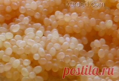 РЕЦЕПТЫ | Вопрос на засыпку: С какой икрой этот бутерброд?