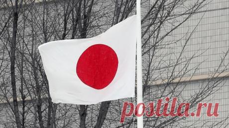 СМИ: правительство Японии включит талоны на рис в пакет экономических мер