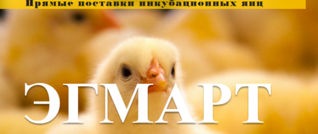 ООО Эгмарт. Инкубационные яйца и суточные цыплята из Европы.
