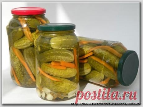 Письмо «сообщение галина5819 : Маринованные огурцы "Болгария отдыхает" (без стерилизации) (04:10 08-07-2018) [3803925/437402765]» — галина5819 — Яндекс.Почта