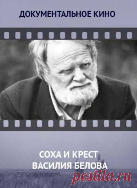 Смотреть онлайн бесплатно без рекламы