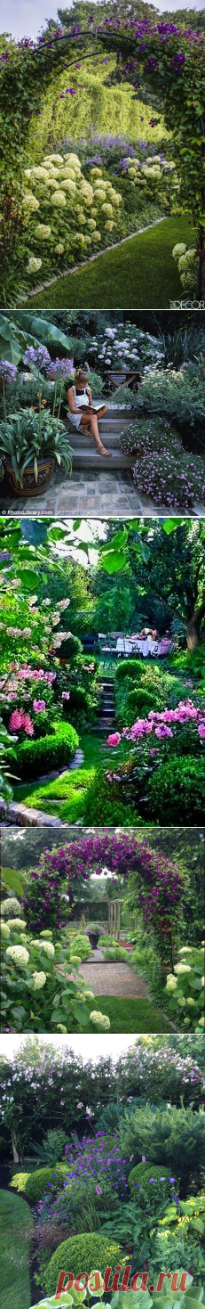 (472) Pinterest