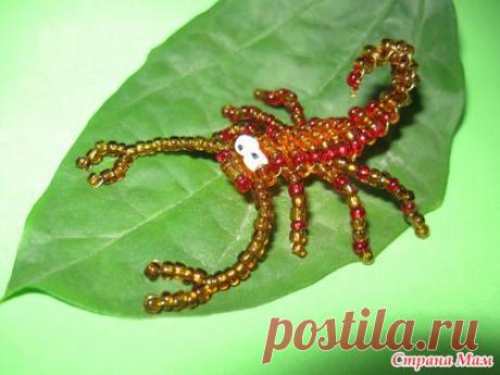 Золотой скорпион - Поделки - Страна Мам