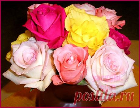 Yazgulu.Com ( Güller )