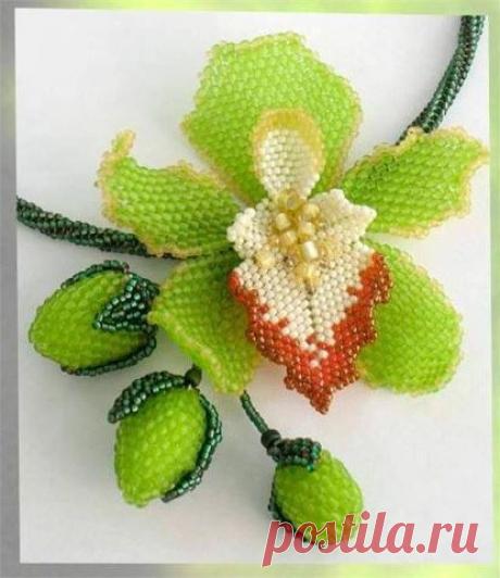 Одноклассники