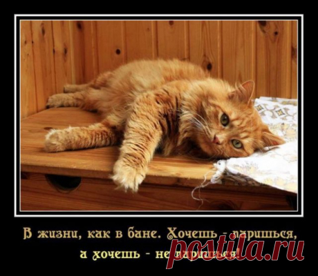 Афоризмы о жизни