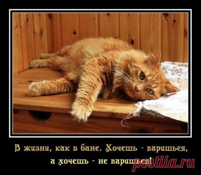 Афоризмы о жизни