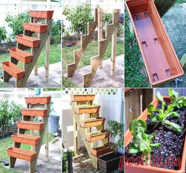 Огород на балконе — DIYIdeas