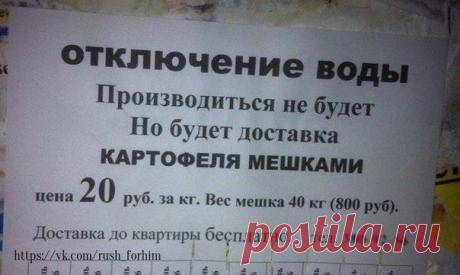 Типичное проявление гибкости мышления