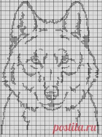 Gallery.ru / Фото #53 - Монохром 4 - Tatjana-vas