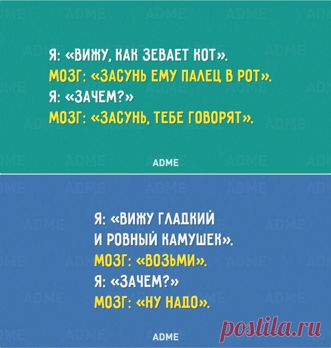 Я vs. Мозг