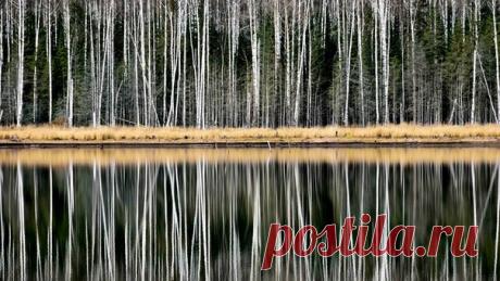 «Предзимье». Качканар, Свердловская область. Автор фото – Вадим Баталов: nat-geo.ru/photo/user/264911/