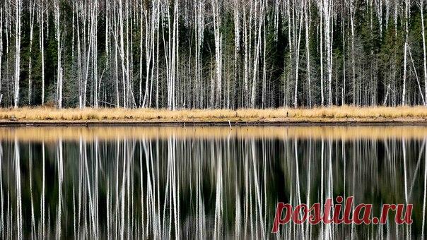 «Предзимье». Качканар, Свердловская область. Автор фото – Вадим Баталов: nat-geo.ru/photo/user/264911/