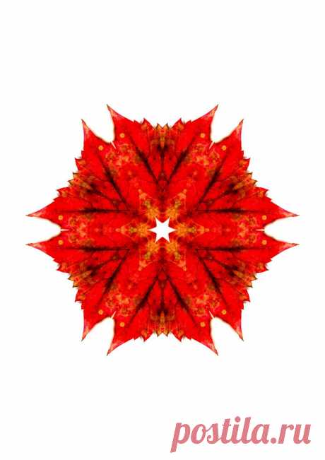 Осенняя мандала - 
Red Patterned Kaleidoscope  Free Stock Photo HD - Public Domain Pictures