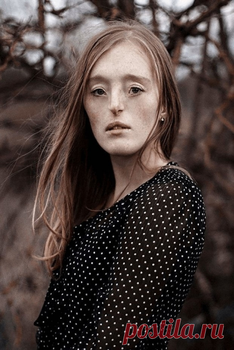 хх