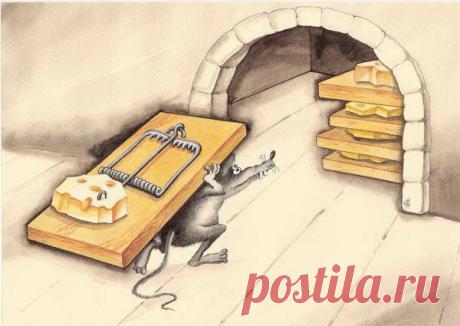 5 лучших историй с моралью - rastimul.com.ua