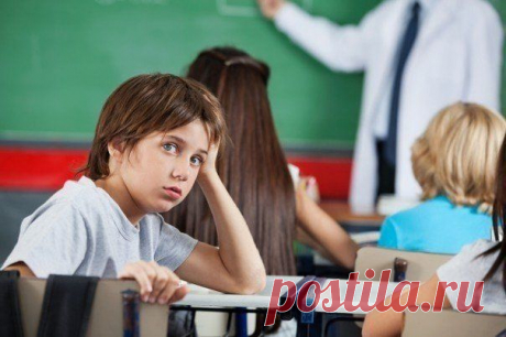 Почему наши дети не должны учиться на отлично