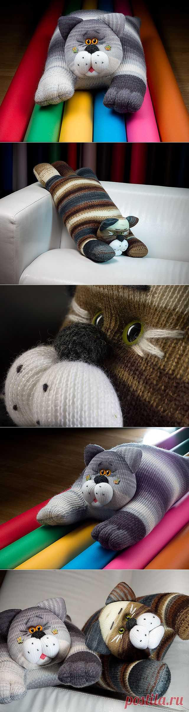 Обними кота!.