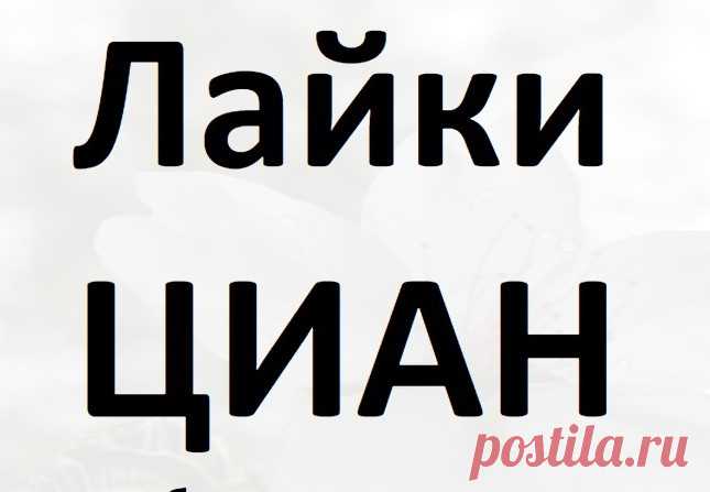 Эффективное продвижение на ЦИАН РУ