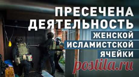 ФСБ пресекла деятельность женской исламистской ячейки в Татарстане — видео. Деятельность женской исламистской ячейки, распространявшей в России террористическую идеологию и занимавшейся вербовкой, пресечена в Татарстане. В ходе обысков изъято значительное количество запрещённой в России экстремистской литературы, средств связи, электронных носителей информации, использовавшихся при ведении террористической деятельности. Следственным подразделением УФСБ по Республике Татарстан возбуждено…
