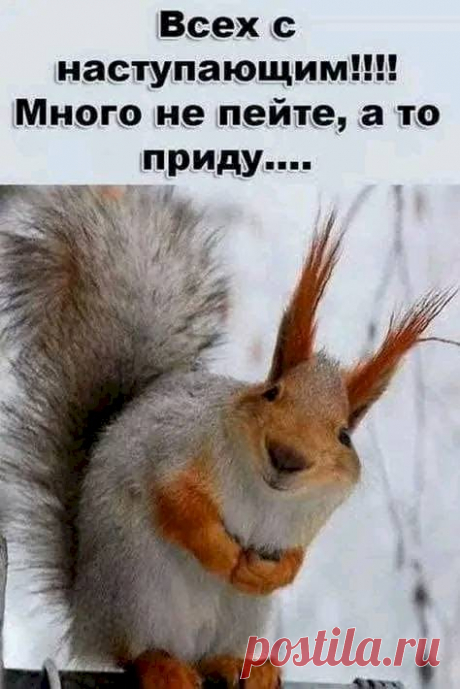 Выпуск №4608 - выпуск анекдотов сайта вокруг смеха