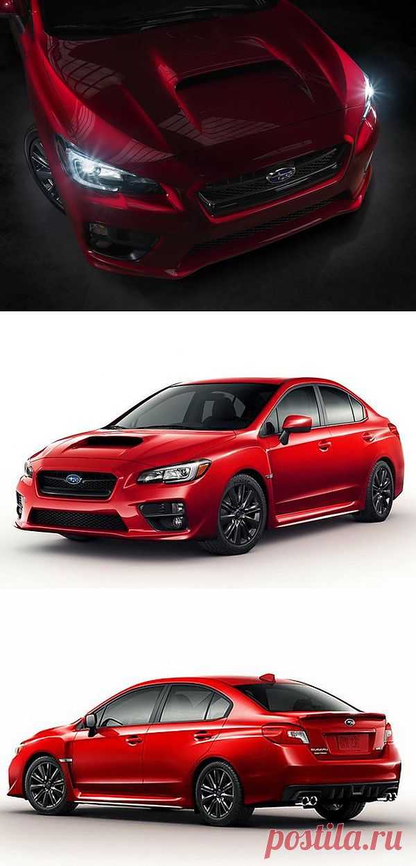 Новая Subaru WRX: первые фото - автоновости - Авто@Mail.Ru