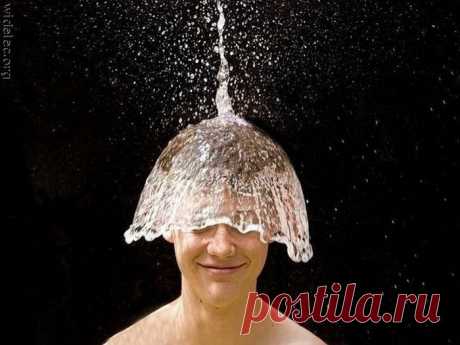 Вода. Стоп-кадр - Всё о природе