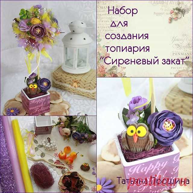 Набор для создания топиария 