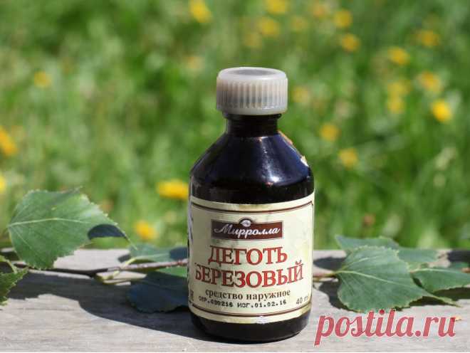 Секреты лечения дегтем