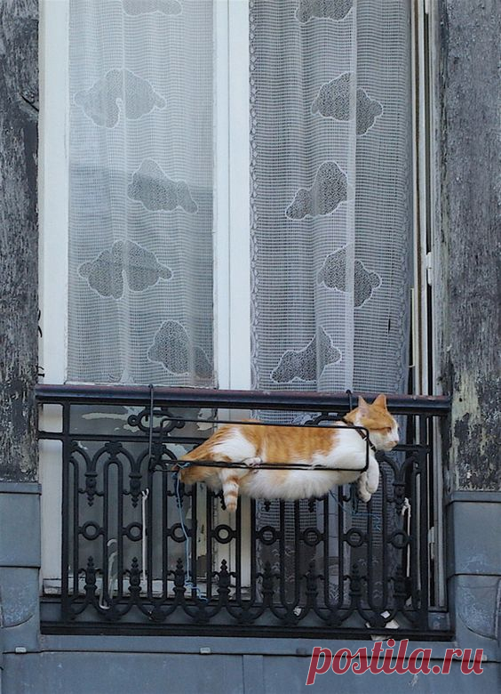 mauvais gout (sometimes)