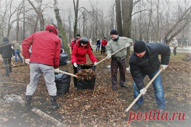 Нужны ли субботники? | North Wind | Яндекс Дзен